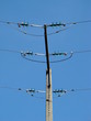cable électrique