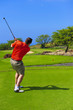 Golfer