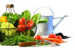 Fresh vegetables with watering can