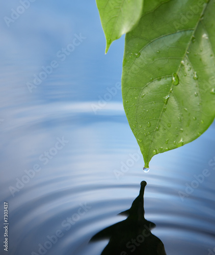 water drop. water drop