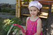 in the garden