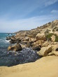 côte maltaise