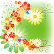 spring flowers