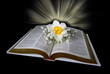 Believe
