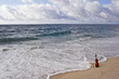  Violin and  the  Atlantic Ocean Seashore