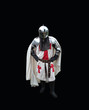 Medieval Knight
