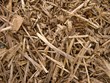 Wood Bark Background