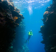 Diver underwater