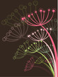Vector: chocolate and pink dandelion (vector) - illustration chocolate and pink dandelion (vector) - illustration