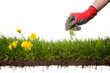 gardening