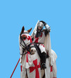 White Medieval Knight