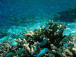 Foto: Fish World Fish World