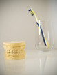 teeth model and toothbrush