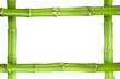 Bamboo frame