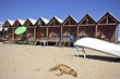 Fisherhuts on the beach at Armacao de Pera Portugal