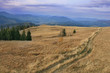 Carpathian mountains. Slavskoe
