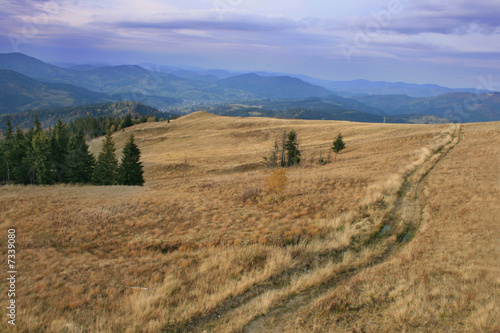 Carpathian mountains. Slavskoe