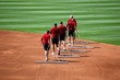 baseball ground crew