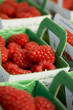 Barquette de framboises Barquette de framboises