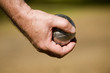 boule