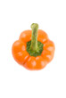 Single Orange Bell Pepper Single Orange Bell Pepper