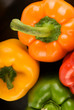 Bell Peppers on Black - Orange, Yellow, Red and Green Bell Peppers on Black - Orange, Yellow, Red and Green