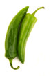 New Mexican Green Chiles New Mexican Green Chiles