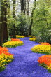 allée de fleurs allée de fleurs