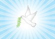Peace background