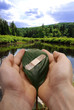 human hands holding bandaged leaf.