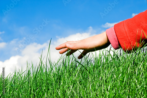 Photo: young hand and grass young hand and grass