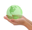 world in hand