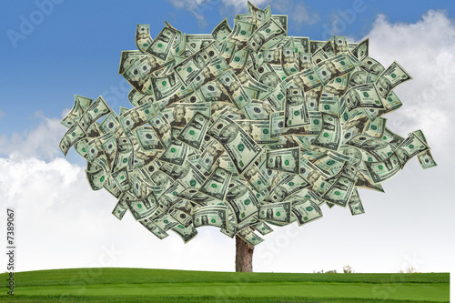 Photo: Marketing Money Tree Marketing Money Tree