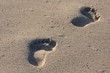 footprint