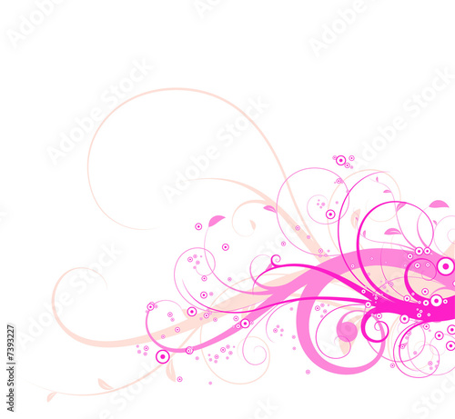 Illustration: Swirly florals Swirly florals