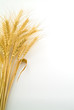 Bundle of Wheat