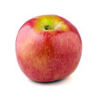 Pink Lady Apple Pink Lady Apple