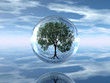 Arbre protégé
