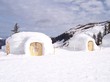 Iglu
