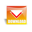 download button