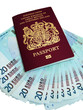 Passport with money