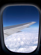 Jet's Window