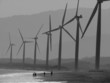 Foto: Children playing under the power windmills of Bangui bay Children playing under the power windmills of Bangui bay