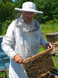 Beekeeper 28 Beekeeper 28