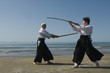 aikido sur la plage