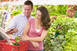 Couple shopping in produce section