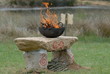 fuoco