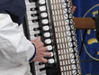  akkordeonspieler