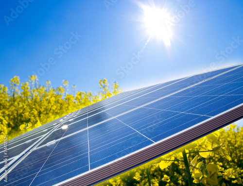 Raps und Solar
