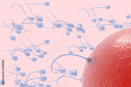 Ilustración: Sperm Attack Sperm Attack